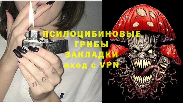 марки lsd Абаза