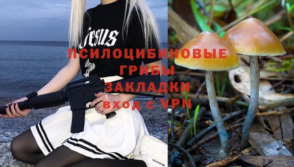марки lsd Абаза