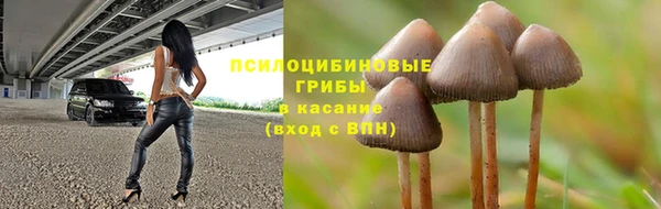марки lsd Абаза