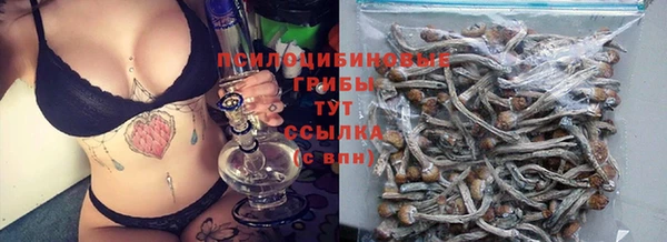 марки lsd Абаза
